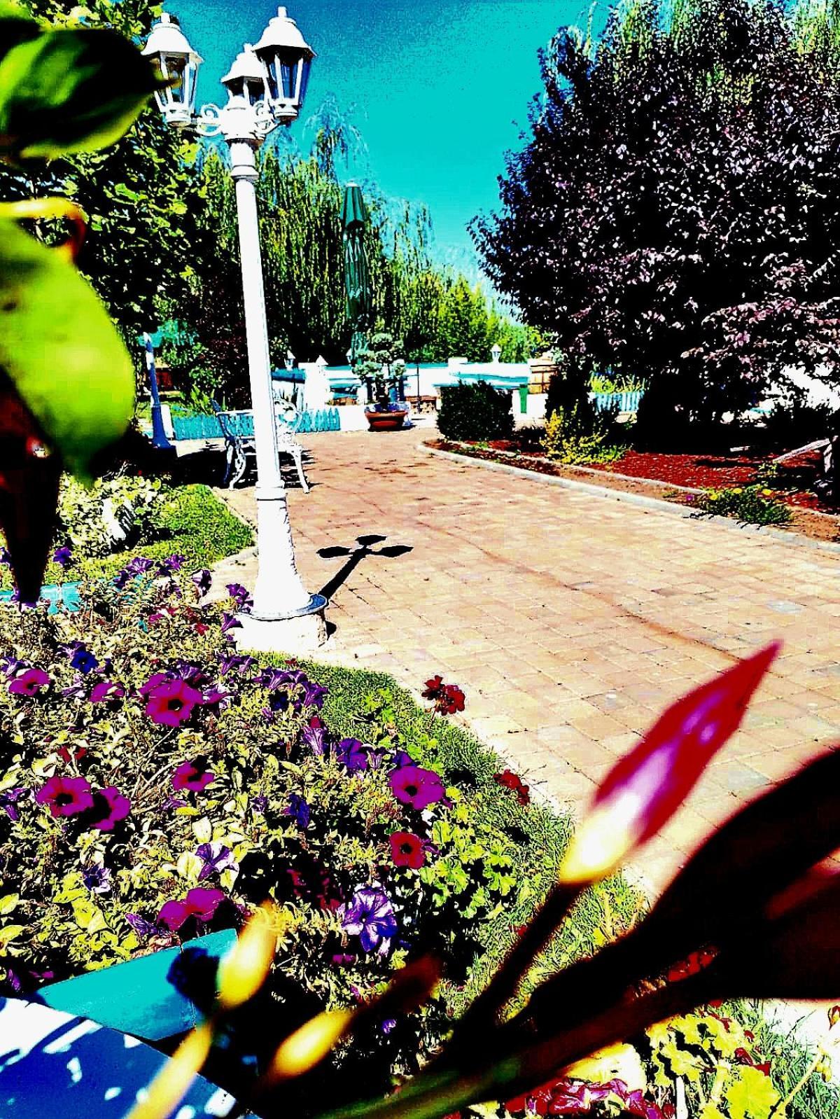 Pensiunea Prigoria Hotel Murighiol Exterior foto